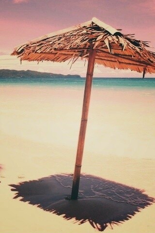 Тросниковый зонт обои