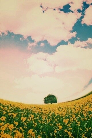 Искаженный мир обои