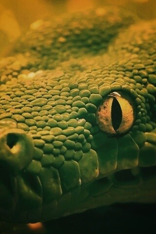 Страшно красивая обои