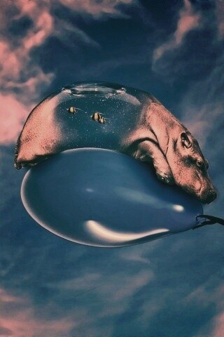 Водяной гиппопотам на шарике обои