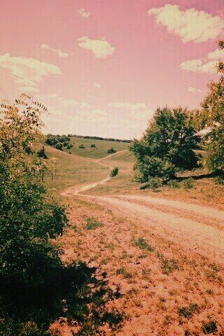 Просёлочная дорога обои