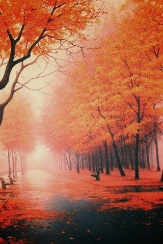 Дорога в осень обои