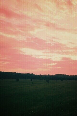 Дорога к лесу обои