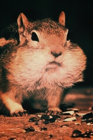 Не жадный, а бережливый обои