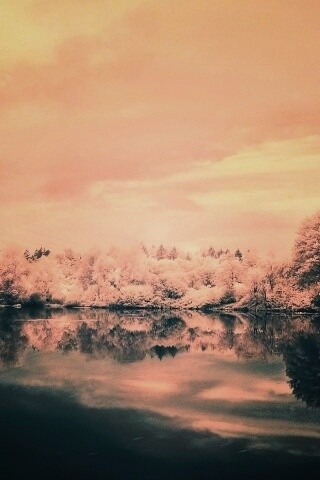 Зимний пейзаж обои