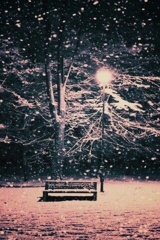 Ночь..улица..фонарь..скамейка.. обои