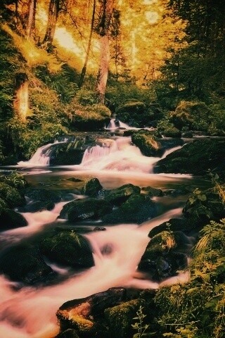 Живописный лесной водопад обои