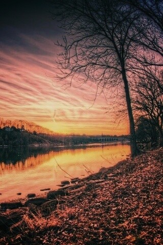 Осенний закат обои