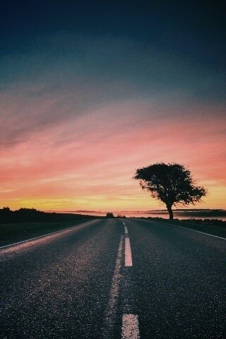 Дорога обои