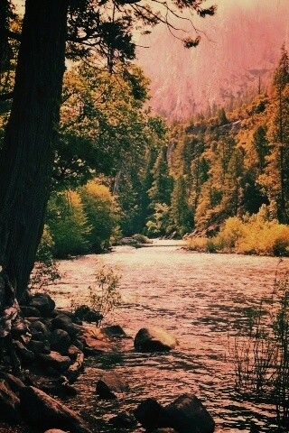 Национальный заповедник обои