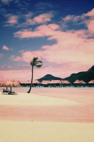 Побережье Бора-бора обои