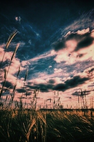 HDR Поле обои