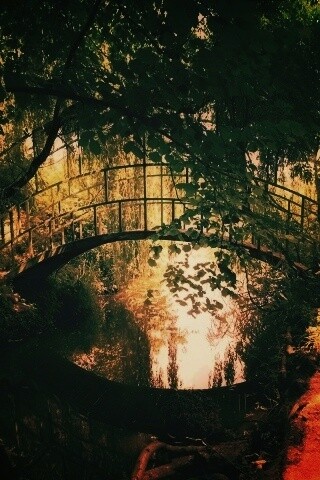 Живописный мостик обои