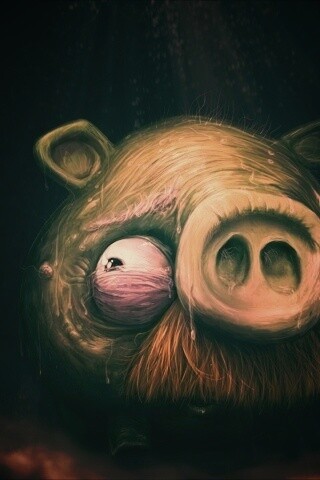 Свинья из Angry Birds обои