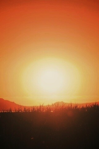 Сельский закат обои