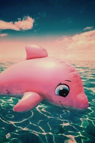 Надувной розовый дельфин обои