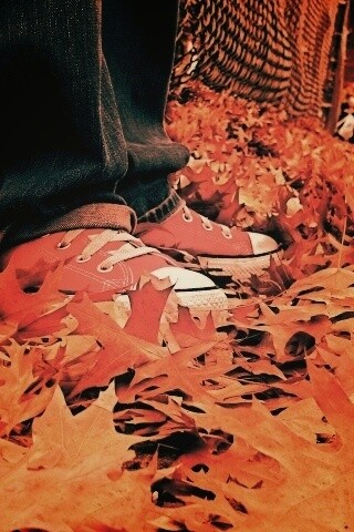 Оранжевые кеды обои