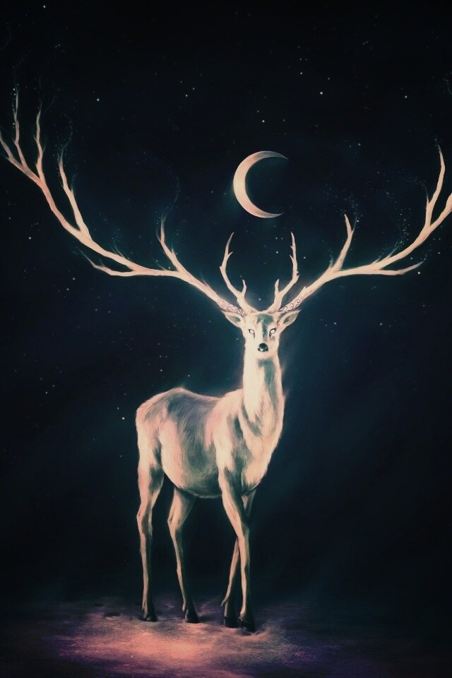 Олень в лунном свете обои