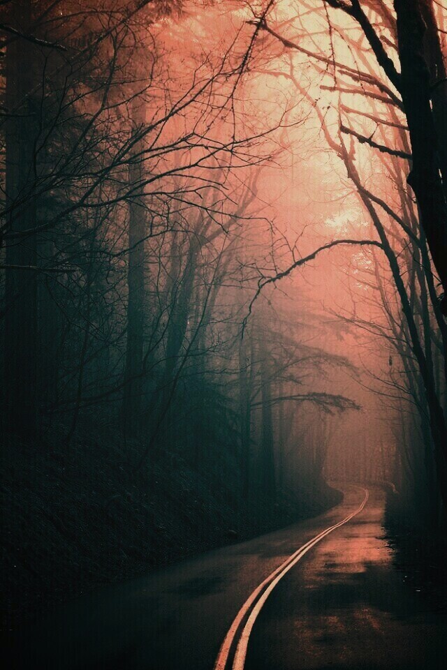 В туман обои