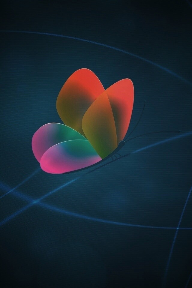 Бабочка с радужными крыльями обои