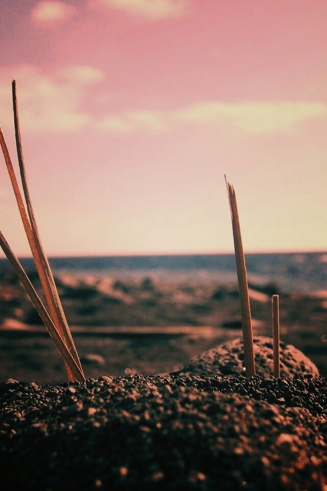 Солома на океанском берегу обои