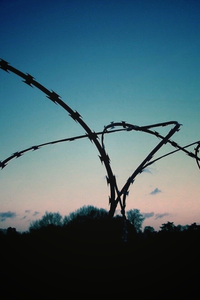 Колючая проволка обои