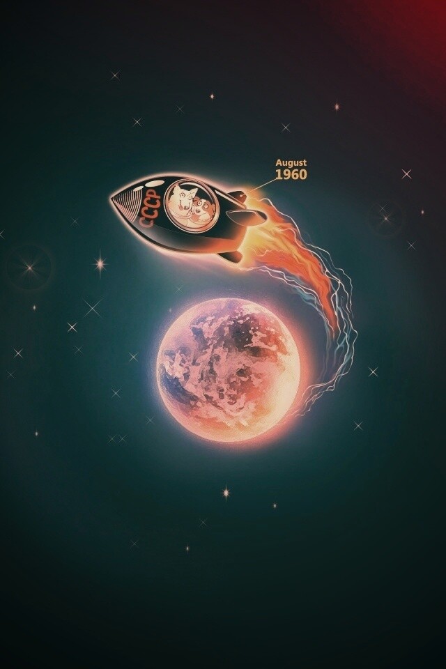 Белка и Стрелка летят в космос обои