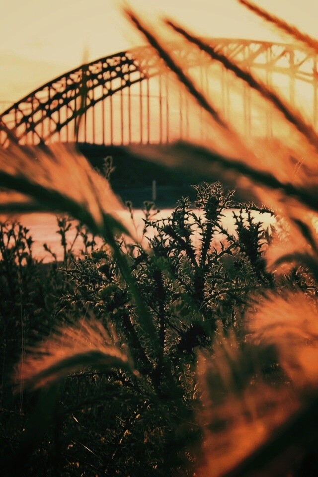 Железнодорожный мост обои