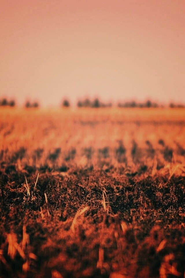 Поле перед вспашкой обои