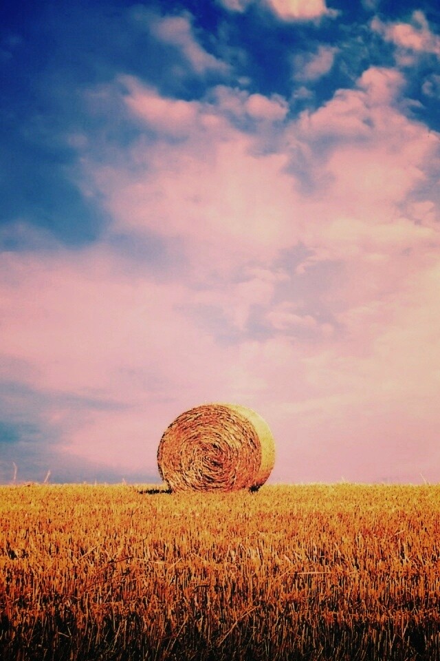 СОломеннынй рулон обои