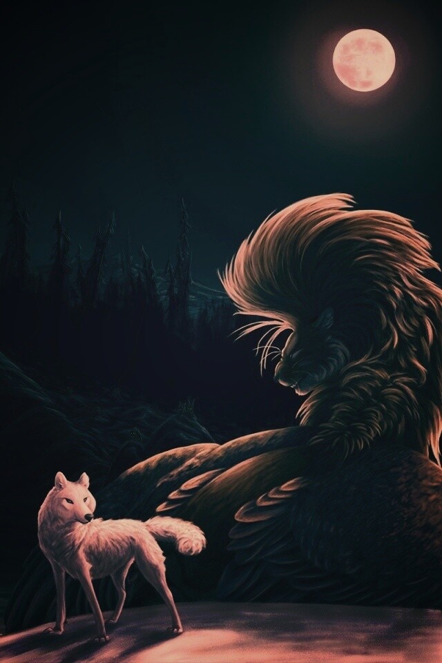Волк и лев при луне обои