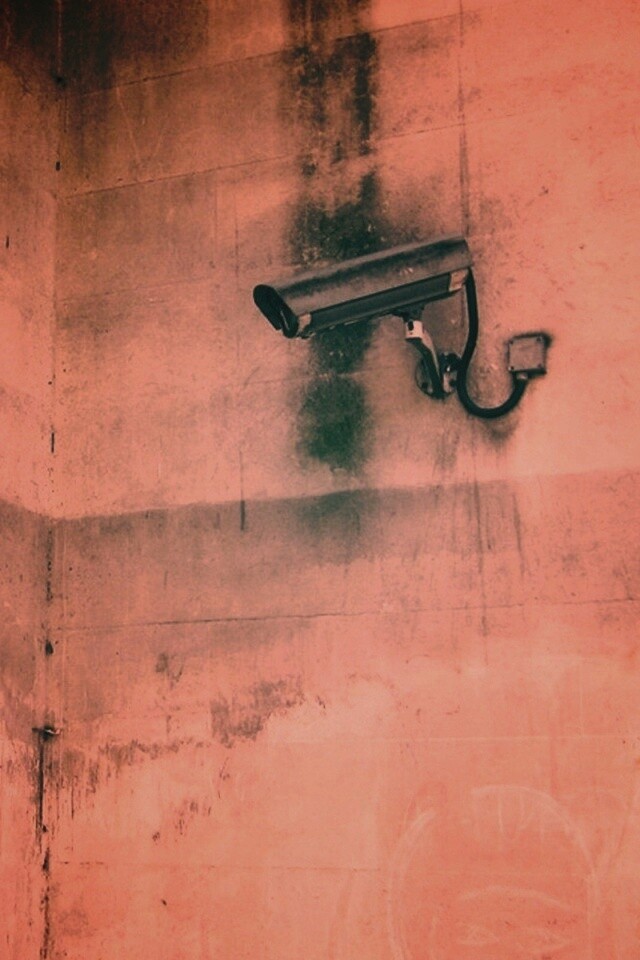 На что ты смотришь? обои