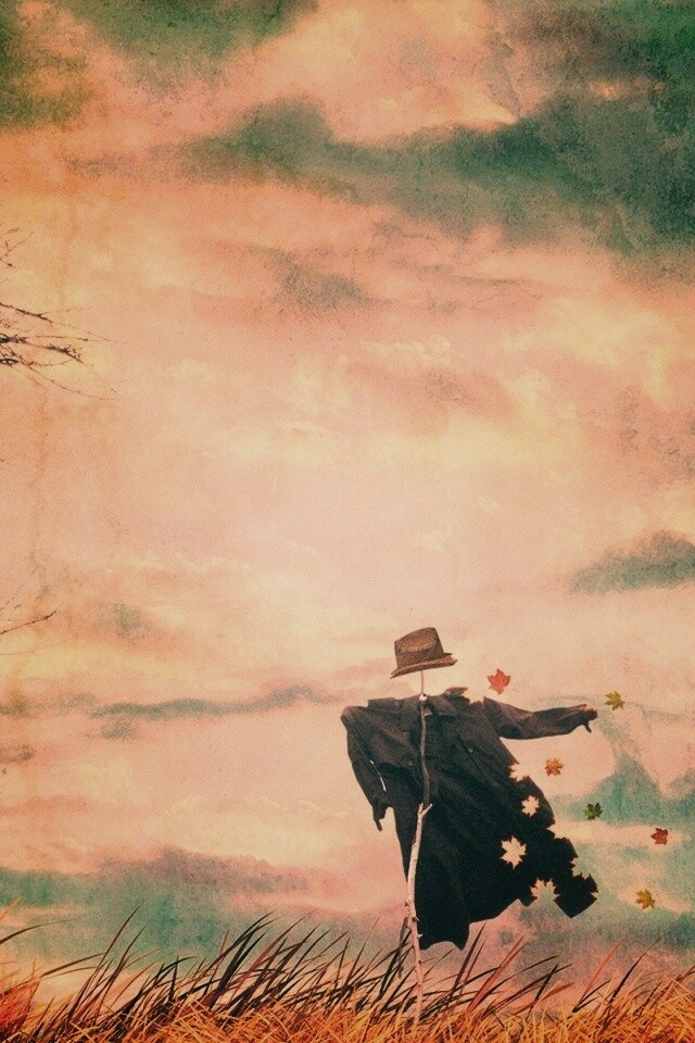 Забытое пугало обои