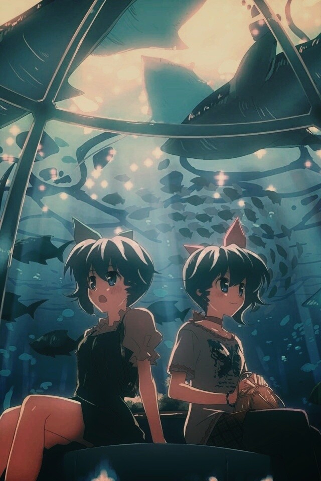 В океанариуме обои