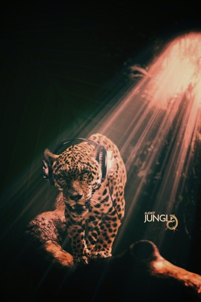 Ягуар в наушниках обои