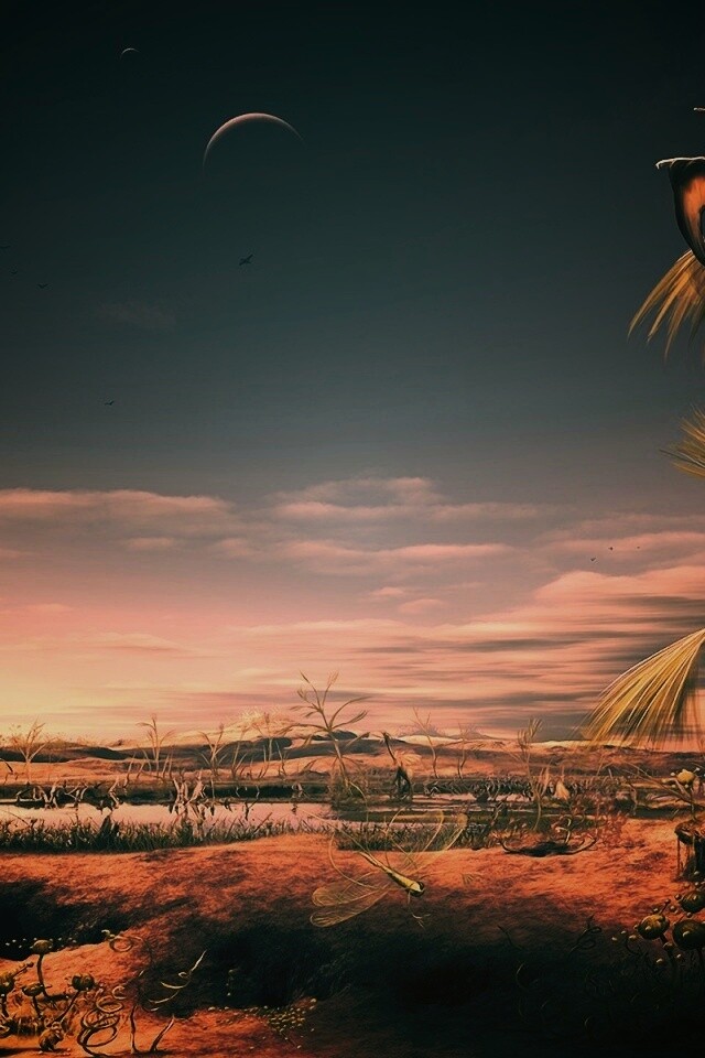 Флора и фауна другой планеты обои