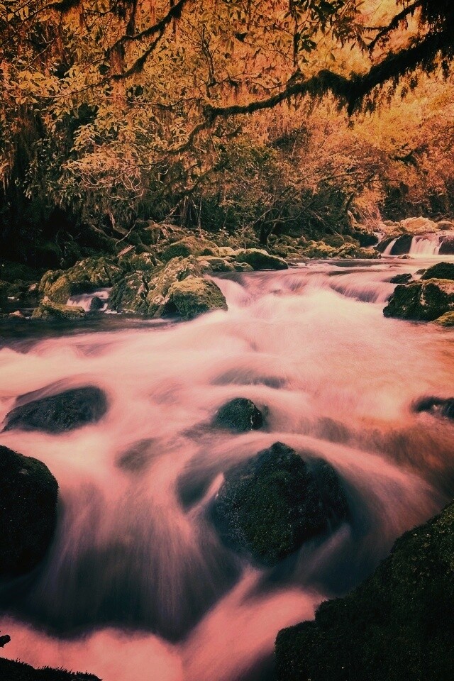 Лесной руче обои