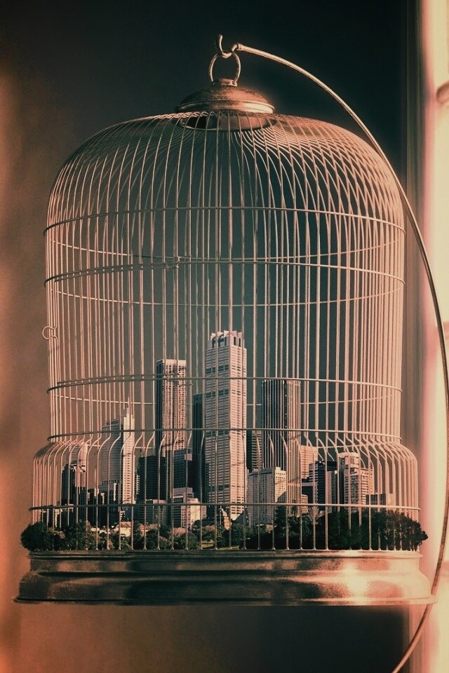 Город в клетке обои