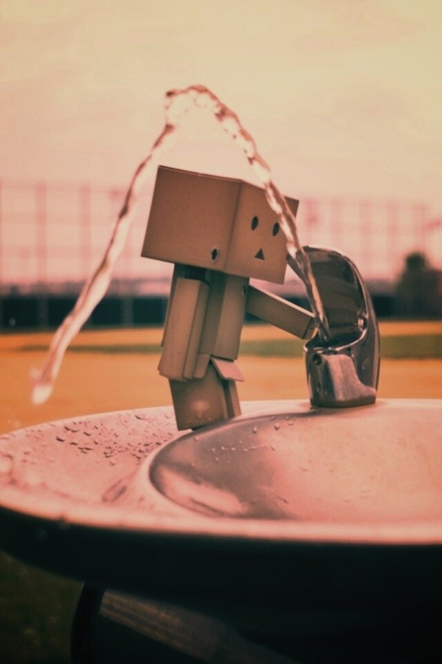 Дандо пьет в воду из фонтанчика обои