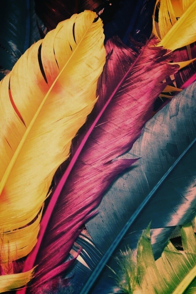 Разноцветные перья обои