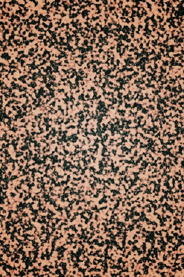 Черно-белый ковролин обои