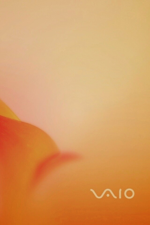 Цветок и логотип Vaio обои