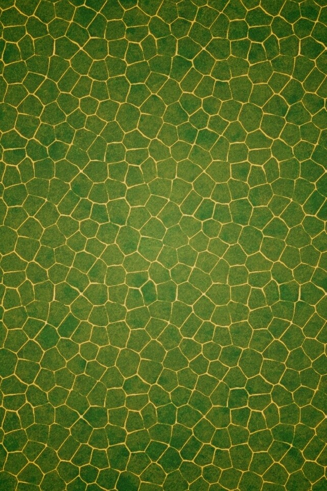 Зелёные сегменты обои