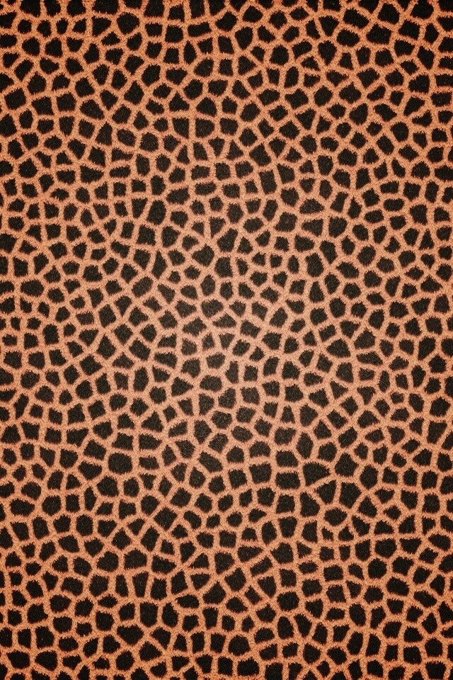 Текстура шкуры жирафа обои