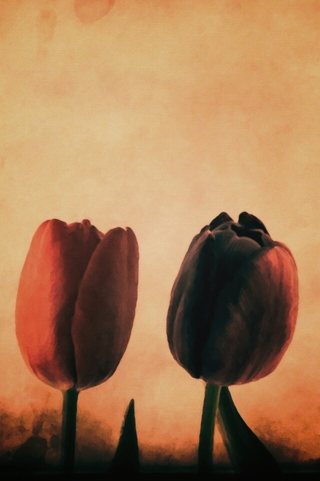 Нарисованные цветы обои