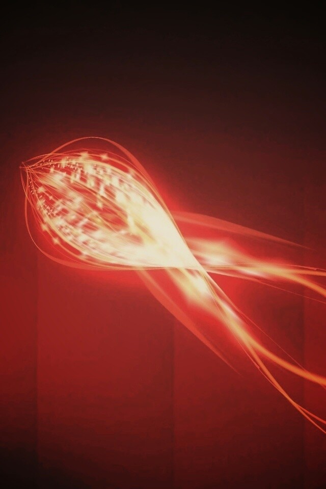 Сгусток красных линий обои