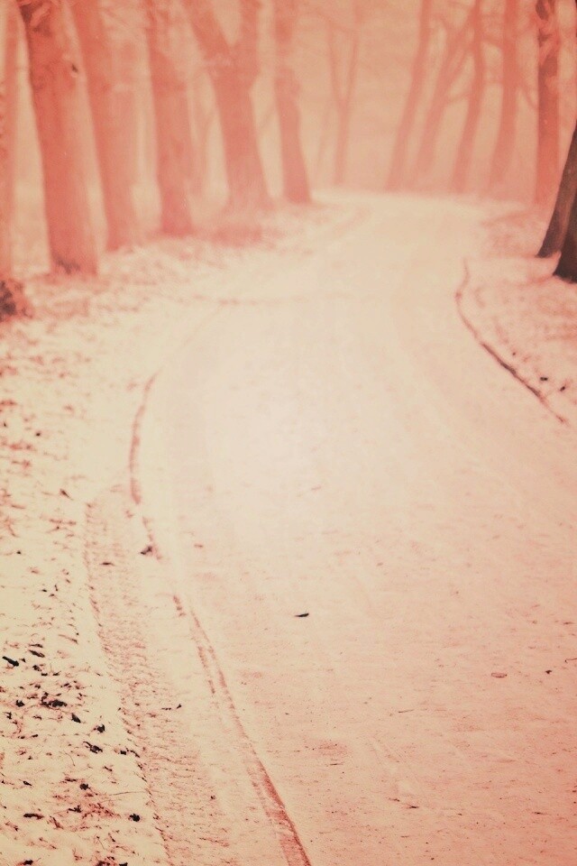 Дорога в зимнем лесу обои