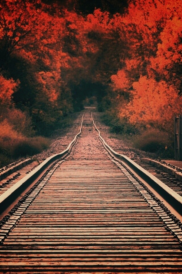 Железная дорога в осеннем лесу обои