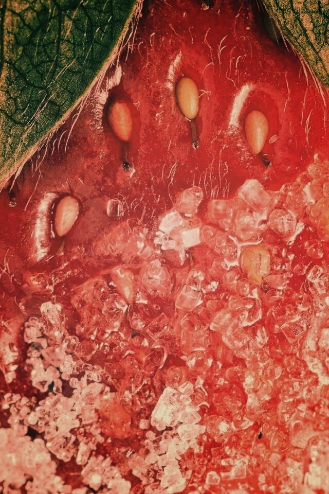 Клубника в сахаре обои