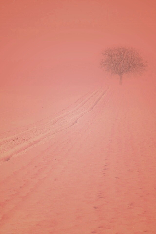 Заснеженное поле обои